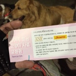 해운대도그워커  도그워커  dogwalking   dogwalkerlife  dogwalkersofinstagram   packwalk… | Instagram posts, Instagram, Post