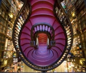 Library에 관한 15개의 최상의 Pinterest 이미지 | 꿈의 도서관, 서점 및 꿈 Library