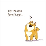 doggiecorgi(도기코기)에 있는 greengrin님의 핀