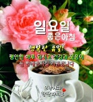Inspirational Good Morning Quotes in Korean | 할머니 짤, 일요일 아침 인사, 좋은 아침 인사