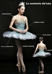 Pin by 고윤숙 on ballet | Ballet costumes, Ballet tutu, Ballet performances
