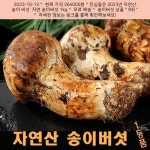 2023-10-13 ☞ 147500원 ☞ 진심좋은 2023년 자연산 송이 버섯 자연 송이버섯 1kg - 2023 | 버섯, 건강식, 인기 2023-10-13 ☞ 147500원... 