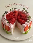 Ｃａｋｅ（イうか）에 있는 Viri님의 핀 | 미적 음식, 베이킹 레시피, 케이크 아이디어