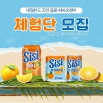 씨씨음료 체험단 모집 | 웹 배너 디자인, 웹사이트 디자인 레이아웃, 웹디자인