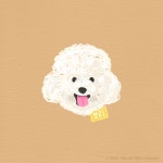 🐶 niko의 애니멀북🐶 (@catdogcanvas_niko) • Instagram photos and videos di 2024