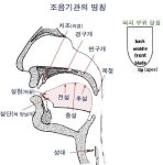 영어 기초 발음법 및 영어발음 기호표