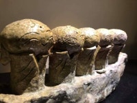 「도자기」おしゃれまとめの人気アイデア｜Pinterest｜osbong