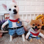 #수유핫dog2 #수유 #핫dog #핫dog2 #핫도그2호점 #수유핫도그2호점 #수유핫dog #수유핫dog… | French bulldog, Bulldog, Animals