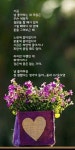 꽃과 너