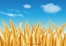 Pin by 풀잎 on 가을 | Landscape pencil drawings, Vector art, Landscape