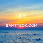 선릉안마 BAMTTEOK.COM 선릉안마 파주노래방 BAMTTEOK•ĊΟМ 파주노래방 | Neon signs, Neon, Views