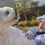 Pin page Dara twitter update 11/16/2020 사랑하는 사람들과 아름다운 자연과 맛있는 음식과 함께했던 행복했던 순간..... 