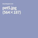 pet5.jpg (564×187)(이미지 포함)