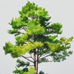 Joa art 조아 아트 | 아트