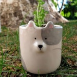 Pin de 은미 안 en 화분 en 2020 | Macetas, Perrito