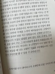 고양이와 고양이 사료