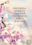피로가 몰려오는 금요일입니다.