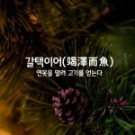 살림의여왕님의 스토리 | 풍수
