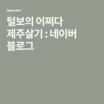 털보의 어쩌다 제주살기 : 네이버 블로그 | 블로그