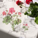 보테니컬에 있는 미영 강님의 핀