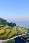 Gacheon Daraengi Village (가천 다랭이마을) | 수호천사