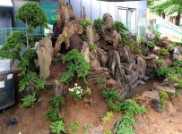산수조경