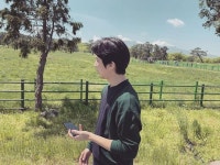 지난해 이시돌목장에 이어서 올해는 아침미소목장을 찾았는데 목장 휴일이라 소똥냄새만 맡고 옴  하지만 운전 중... 