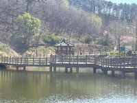 관찰 저수지2 - 2021