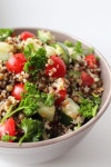 Quinoa & Lentil Salad(이미지 포함) | 에피타이져