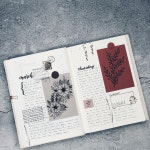 nudobamnamoo(너도밤나무) on Instagram: “✍🏻3/13-3/14 #하루한페이지다이어리꾸미기 #보태니컬라인드로잉 #미도리다이어리”