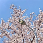 장소에 있는 이름님의 핀 - 2021 | 세계, 장소