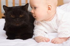 Tips to Prepare Your Cat for a New Baby | 어린이