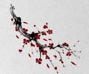 Заводной апельсин에 있는 Андрей Антипов님의 핀 - 2023 | 꽃 타투, 벚꽃 문신, 꽃 문신 디자인