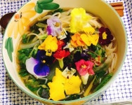 Pin page Flower Vietnamese rice noodles, 꽃 베트남 쌀국수 | 베트남 쌀국수