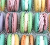 macaron에 있는 이성실님의 핀 - 2020