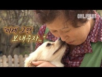 땅 속에 묻힌 새끼를 다시 파내고 어미 사월이가 한 행동은.. ㅣ Mother Dog Digs Out Her Dead Puppy From The Ground To Do This