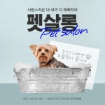 Pin on 카드광고