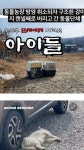 동물농장 방영 취소되자 구조한 강아지 켄넬째로 버리고 간 동물단체