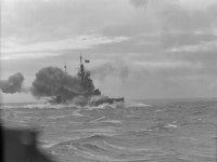 WWII Allied Warships 1939-1945 #229에 있는 핀
