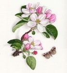 Instagram | 그린 꽃, 꽃 그리기, 그림