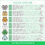 10.31 오늘의운세/화요일운세/연인궁합