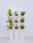 가든초이스 : 네이버쇼핑 스마트스토어 | 수직농장, 식물