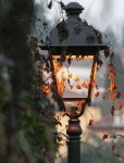 Pin by 빈 on 사진 | Autumn photography, Nature photography, Autumn inspiration