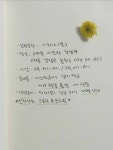 논현로 67길 64 B1) @gomawoon.photo ☘️ 준비물ㅣ나의 행운 물건 or 사진 (프로필 촬영할 때 함께 촬영할거에요!) ➡️신청은 프로필... 