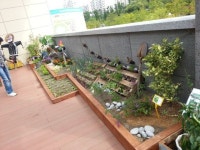 관련 이미지 | 정원 아이디어, 텃밭