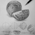 메타코드미술학원 | Art teacher Ahn Jaehyun on Instagram: Red cabbage! If you understand the structure, you can easily take... 