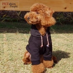 세련된 블랙 후드티에 도도한 포인트 후드끈! 매력에.. 안빠질수가... 도시개의 품격 #강아지후드티 #애견후드티 #강아지티셔츠 #애견티셔츠... 