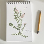 Oil pastel flower에 있는 Ellaine Chelsea Lee님의 핀 - 2023 | 오일 파스텔 드로잉, 크레용 아트, 파스텔 아트