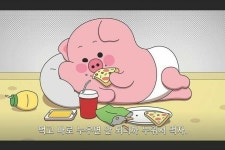 짤모음에 있는 이묘쨍님의 핀 | 웃긴 바탕화면, 웃긴 밈, 웃긴