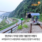 양평 단월면에 위치한 프리미엄 애견펜션 전 객실 개별 수영장 오픈 & 시원한 청정계곡이 있는 애견동반펜션 더큐브펜션 복층형 침대객실, 가족... 